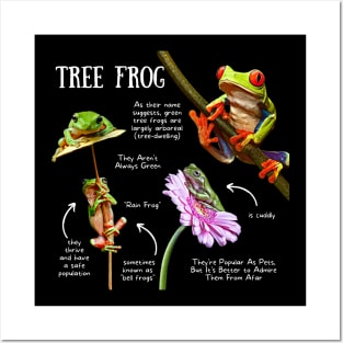 Animal Facts - Tree Frog Posters and Art